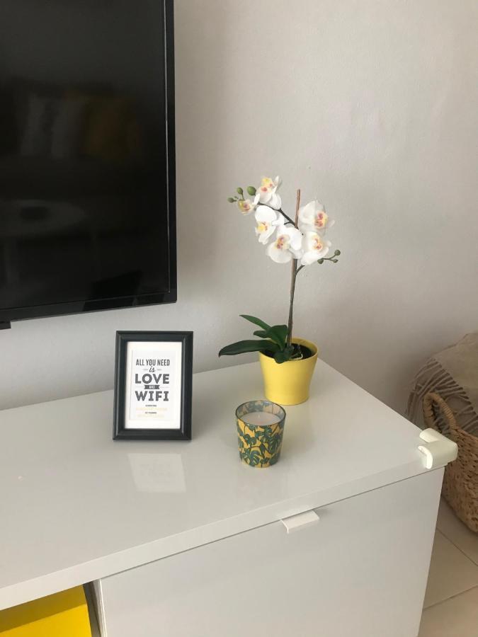 Designer'S Flat - 3 Bdrm - Wifi - Best Location Alicante Zewnętrze zdjęcie